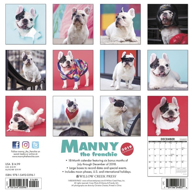 Manny the Frenchie Wall Calendar, Funny Dogs by Calendars Tanga